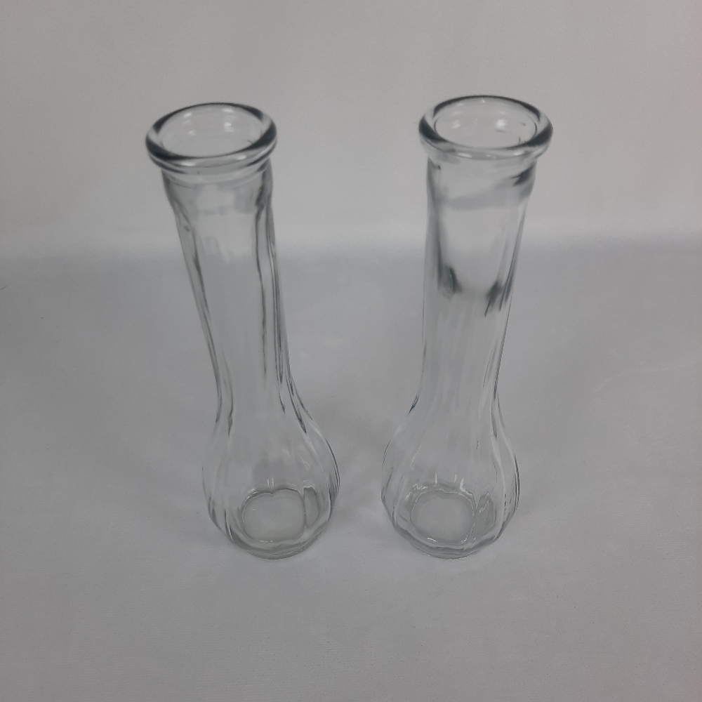 Clear Glass Flower Vases, Set of 2